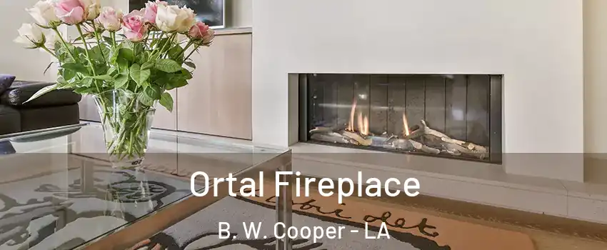 Ortal Fireplace B. W. Cooper - LA