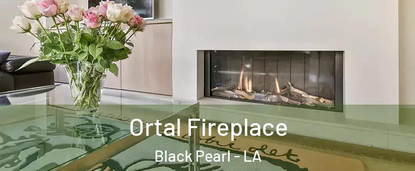 Ortal Fireplace Black Pearl - LA