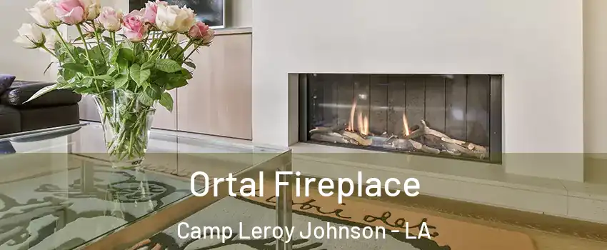 Ortal Fireplace Camp Leroy Johnson - LA