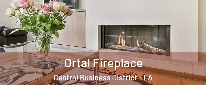 Ortal Fireplace Central Business District - LA