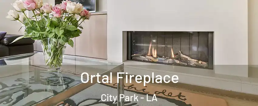 Ortal Fireplace City Park - LA