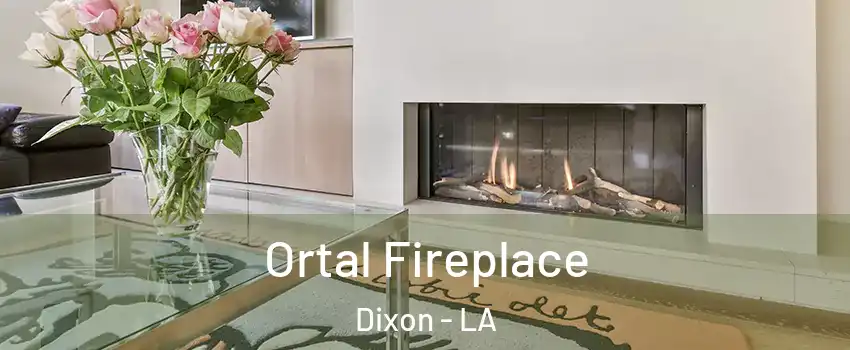 Ortal Fireplace Dixon - LA