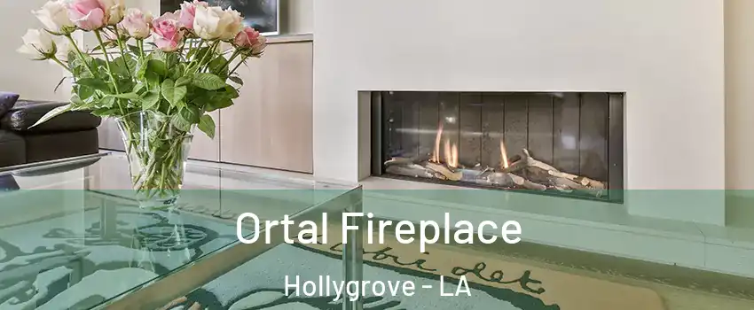 Ortal Fireplace Hollygrove - LA