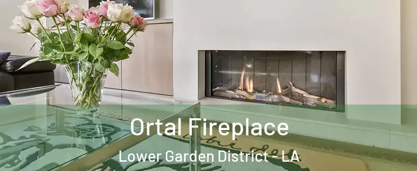 Ortal Fireplace Lower Garden District - LA