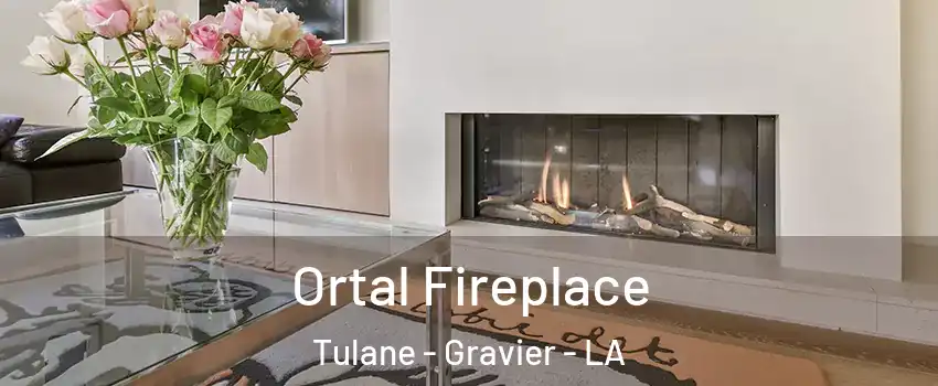 Ortal Fireplace Tulane - Gravier - LA