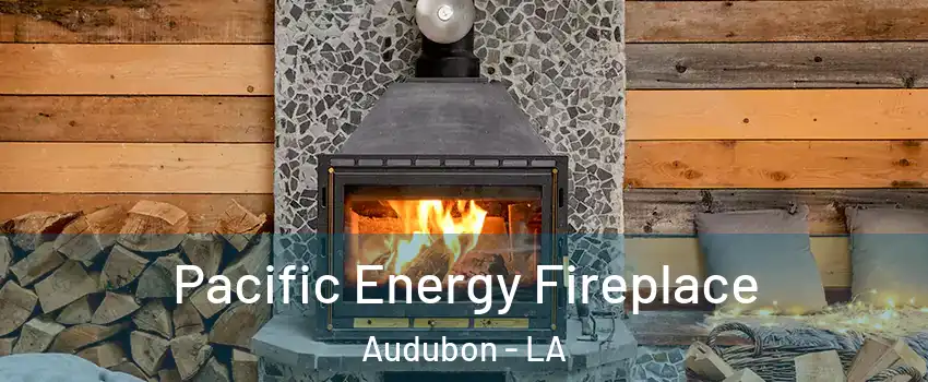 Pacific Energy Fireplace Audubon - LA