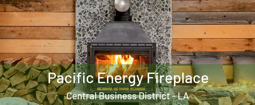 Pacific Energy Fireplace Central Business District - LA