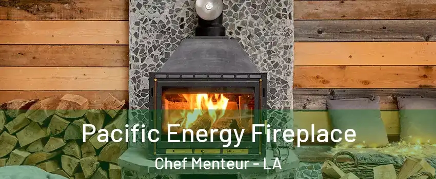 Pacific Energy Fireplace Chef Menteur - LA