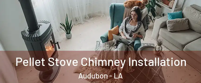 Pellet Stove Chimney Installation Audubon - LA