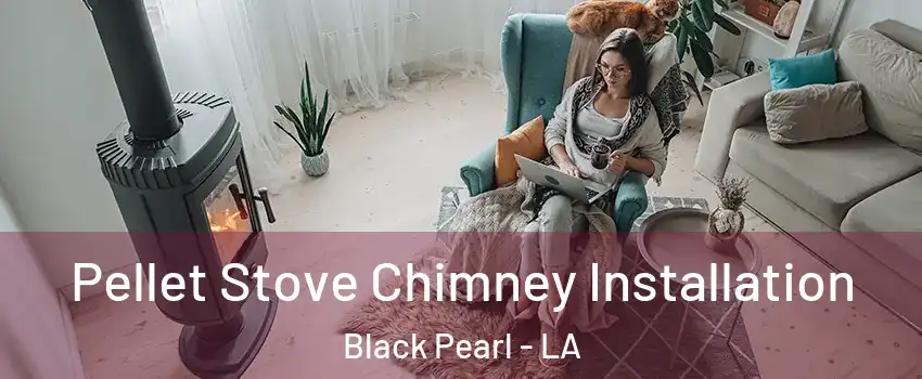 Pellet Stove Chimney Installation Black Pearl - LA