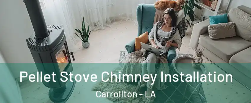 Pellet Stove Chimney Installation Carrollton - LA