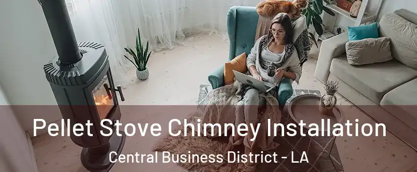 Pellet Stove Chimney Installation Central Business District - LA