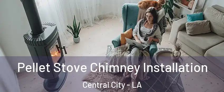 Pellet Stove Chimney Installation Central City - LA