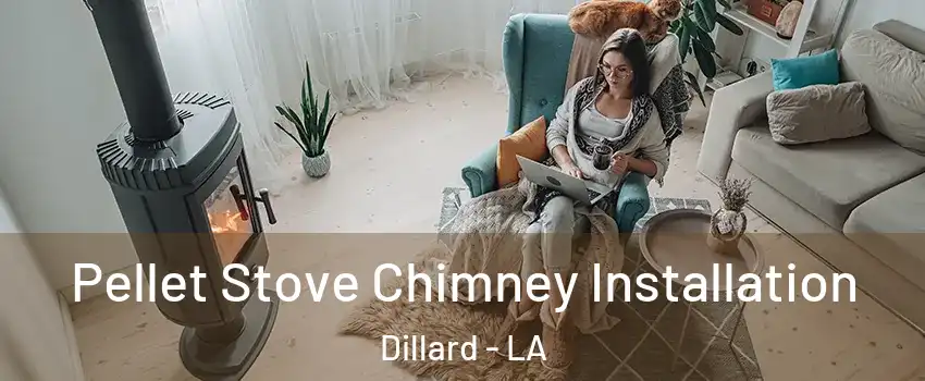 Pellet Stove Chimney Installation Dillard - LA