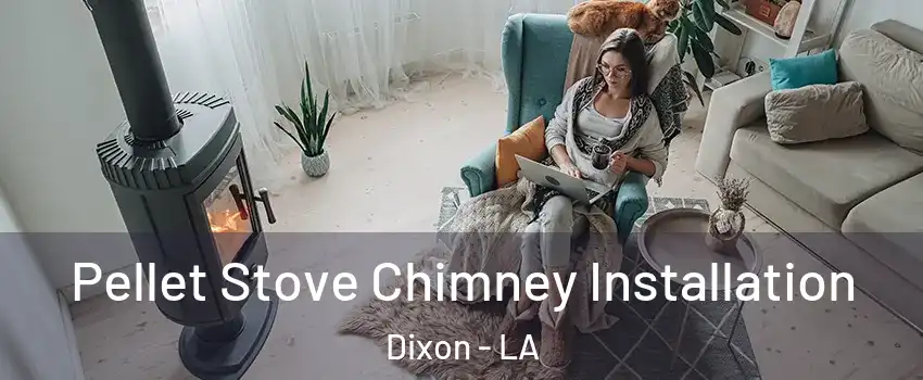 Pellet Stove Chimney Installation Dixon - LA