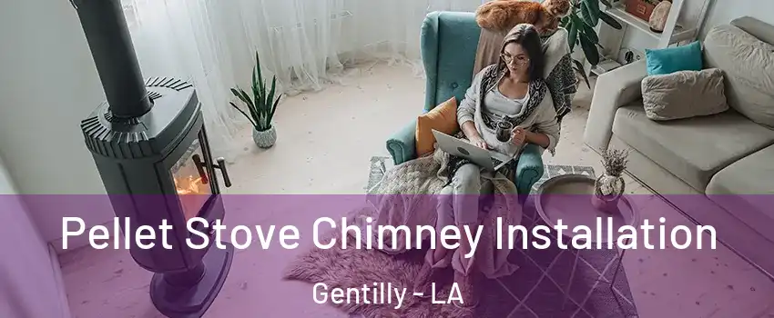 Pellet Stove Chimney Installation Gentilly - LA