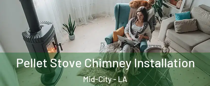 Pellet Stove Chimney Installation Mid-City - LA