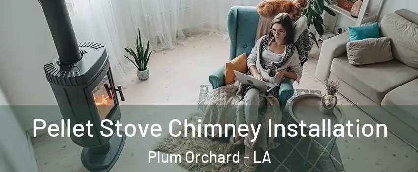 Pellet Stove Chimney Installation Plum Orchard - LA