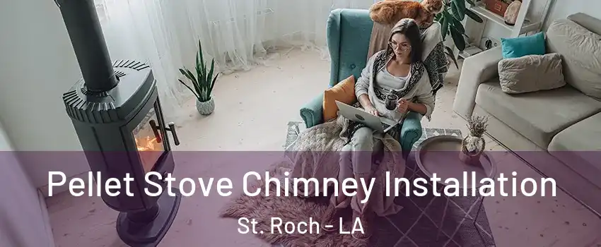 Pellet Stove Chimney Installation St. Roch - LA