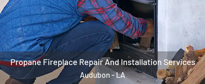 Propane Fireplace Repair And Installation Services Audubon - LA