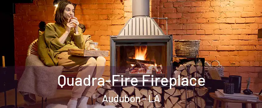 Quadra-Fire Fireplace Audubon - LA