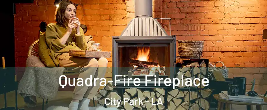 Quadra-Fire Fireplace City Park - LA