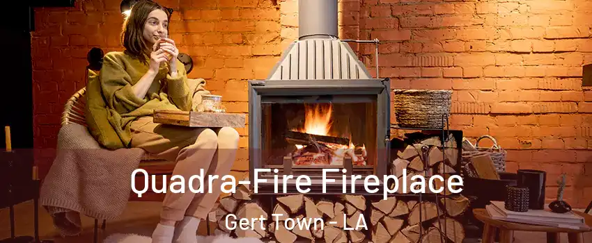 Quadra-Fire Fireplace Gert Town - LA