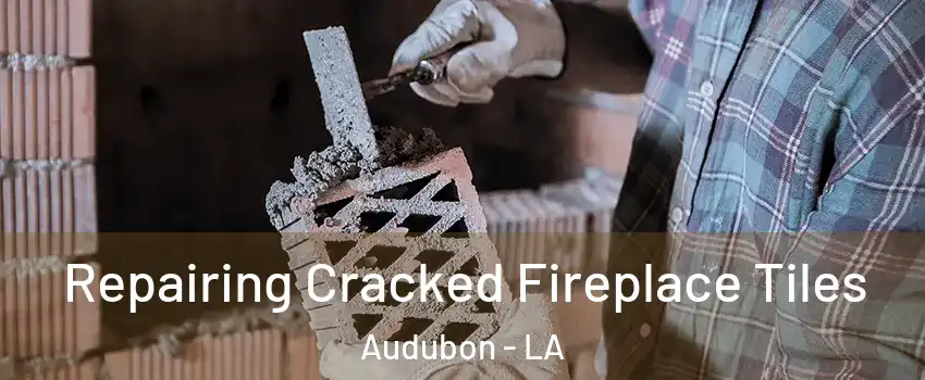 Repairing Cracked Fireplace Tiles Audubon - LA