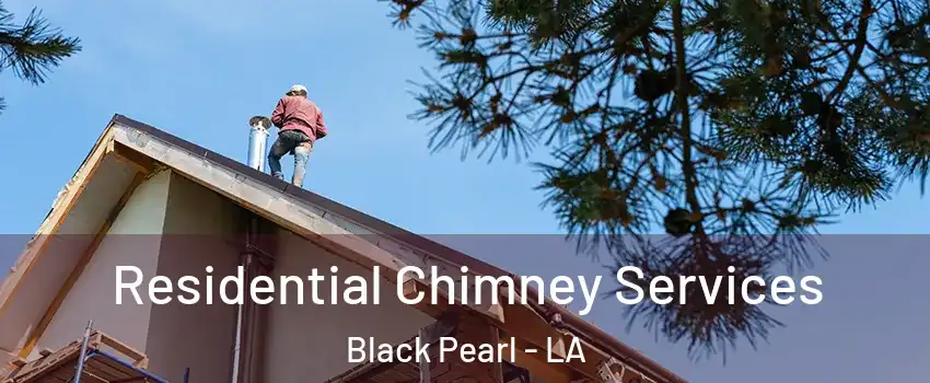 Residential Chimney Services Black Pearl - LA