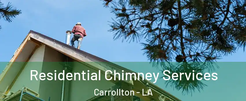 Residential Chimney Services Carrollton - LA