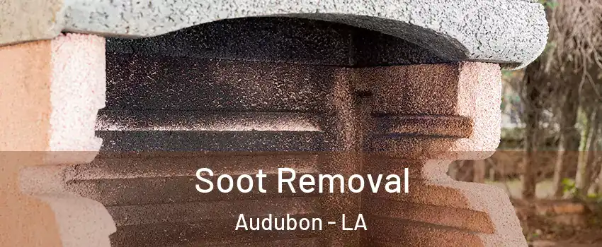 Soot Removal Audubon - LA