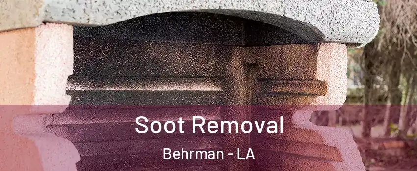 Soot Removal Behrman - LA