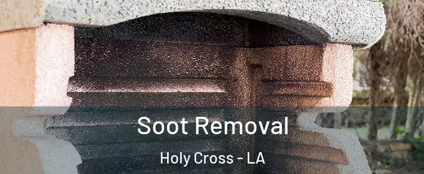 Soot Removal Holy Cross - LA