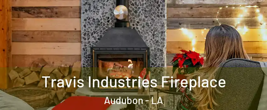 Travis Industries Fireplace Audubon - LA