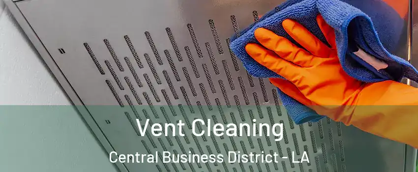 Vent Cleaning Central Business District - LA