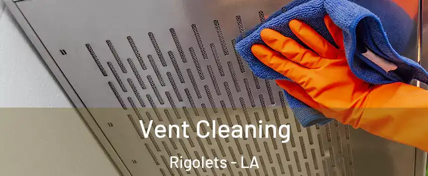 Vent Cleaning Rigolets - LA