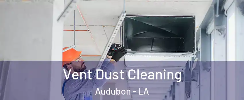 Vent Dust Cleaning Audubon - LA