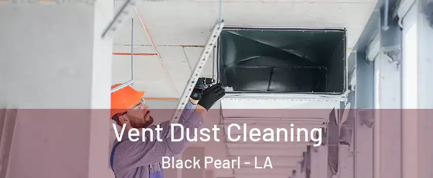 Vent Dust Cleaning Black Pearl - LA