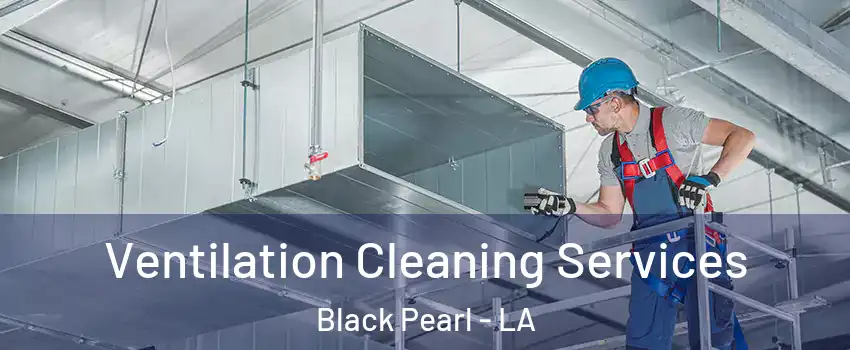 Ventilation Cleaning Services Black Pearl - LA