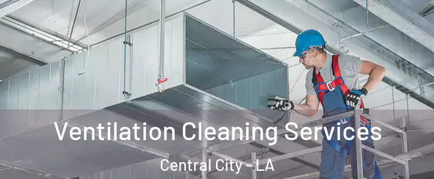 Ventilation Cleaning Services Central City - LA