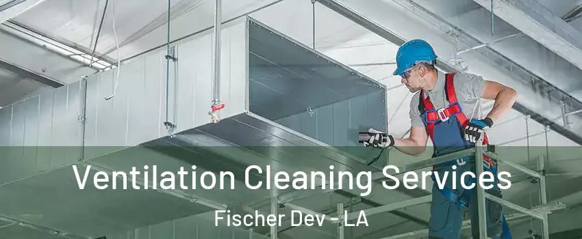 Ventilation Cleaning Services Fischer Dev - LA