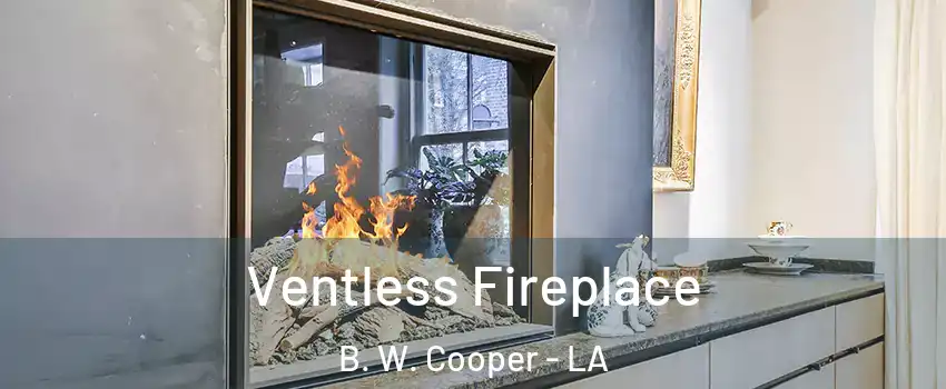 Ventless Fireplace B. W. Cooper - LA