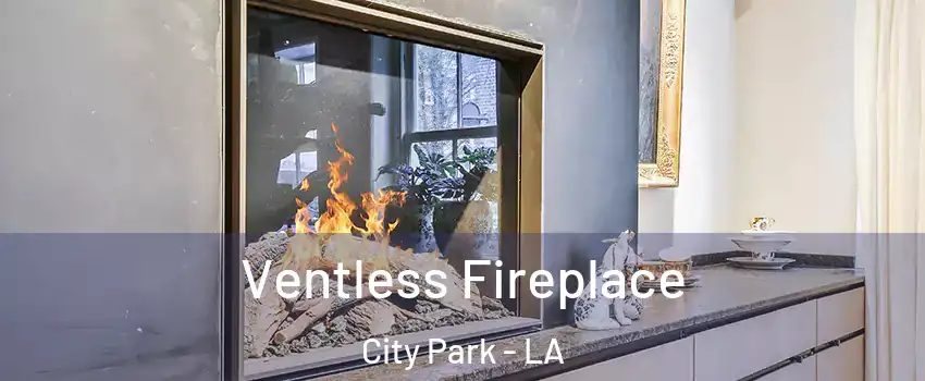 Ventless Fireplace City Park - LA