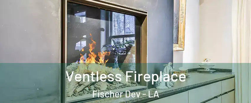 Ventless Fireplace Fischer Dev - LA