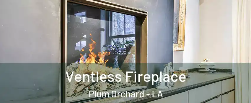 Ventless Fireplace Plum Orchard - LA