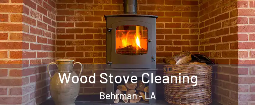 Wood Stove Cleaning Behrman - LA