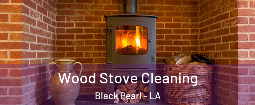 Wood Stove Cleaning Black Pearl - LA