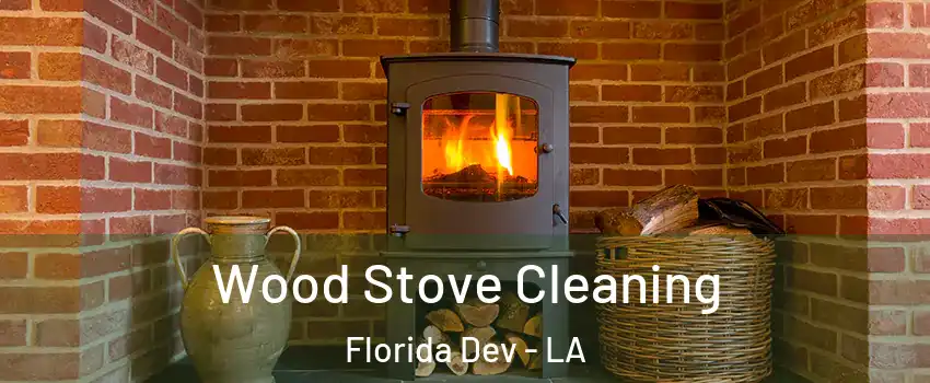 Wood Stove Cleaning Florida Dev - LA