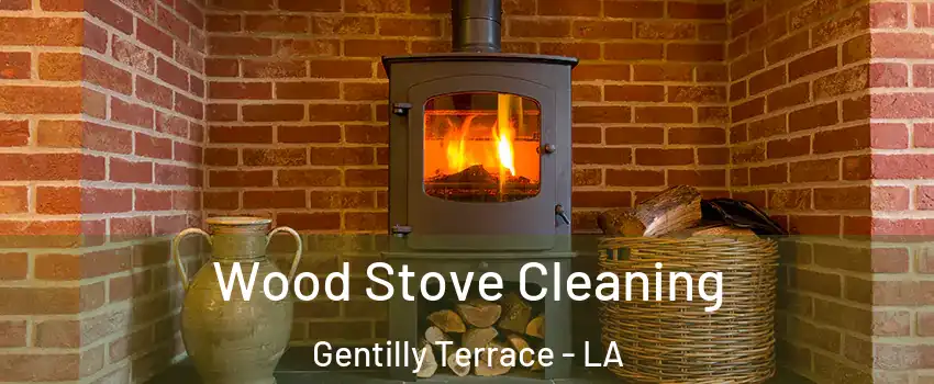 Wood Stove Cleaning Gentilly Terrace - LA